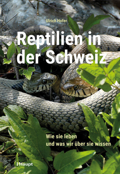 Reptilien in der Schweiz Reptilien in der Schweiz